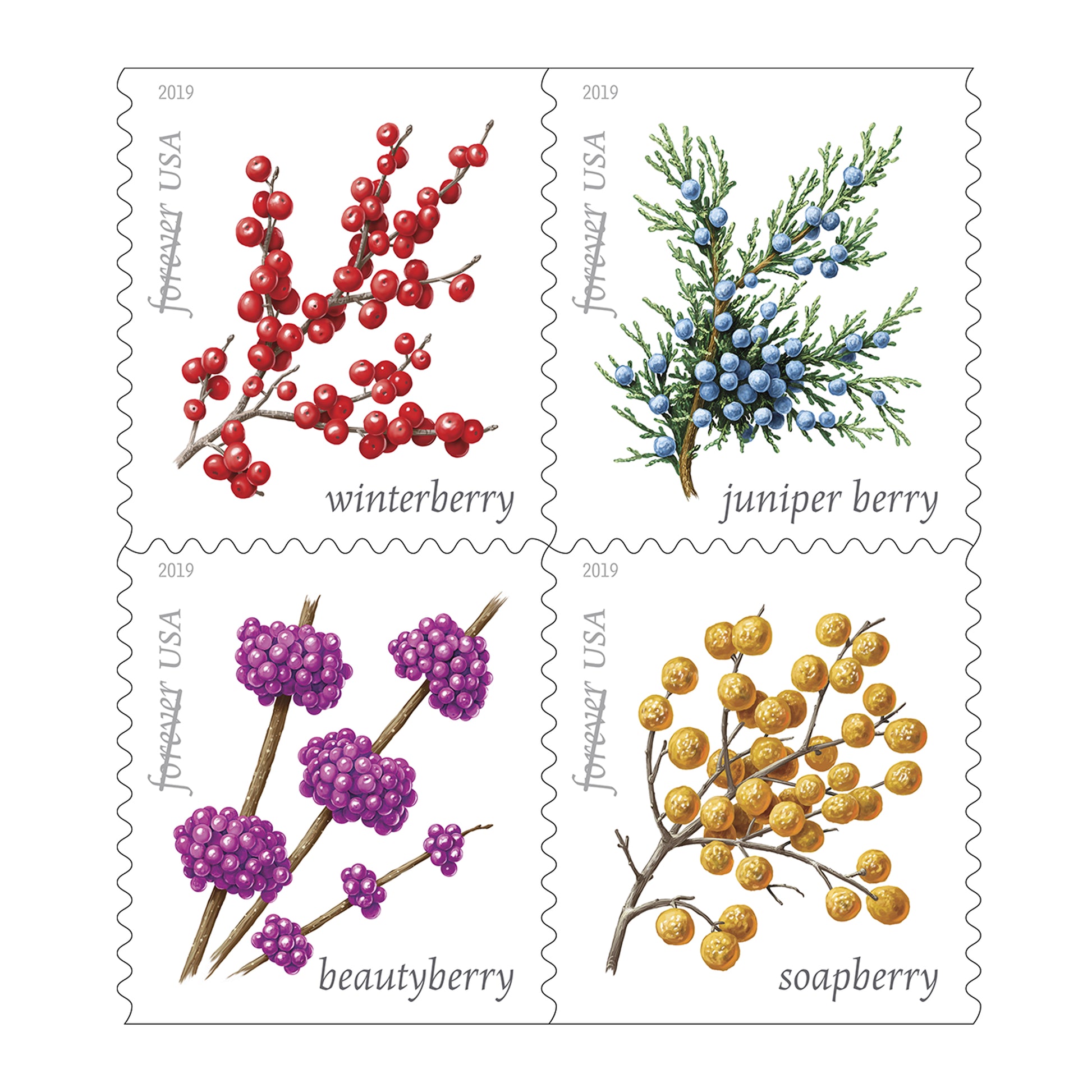 USPS Forever Postage Stamps Booklet of 20 Stamps - Winter Berries