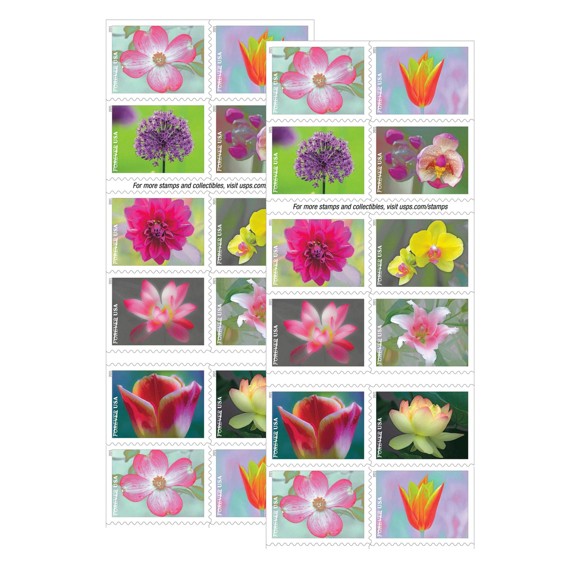 USPS Forever Postage Stamps Booklet of 20 – Garden Beauty